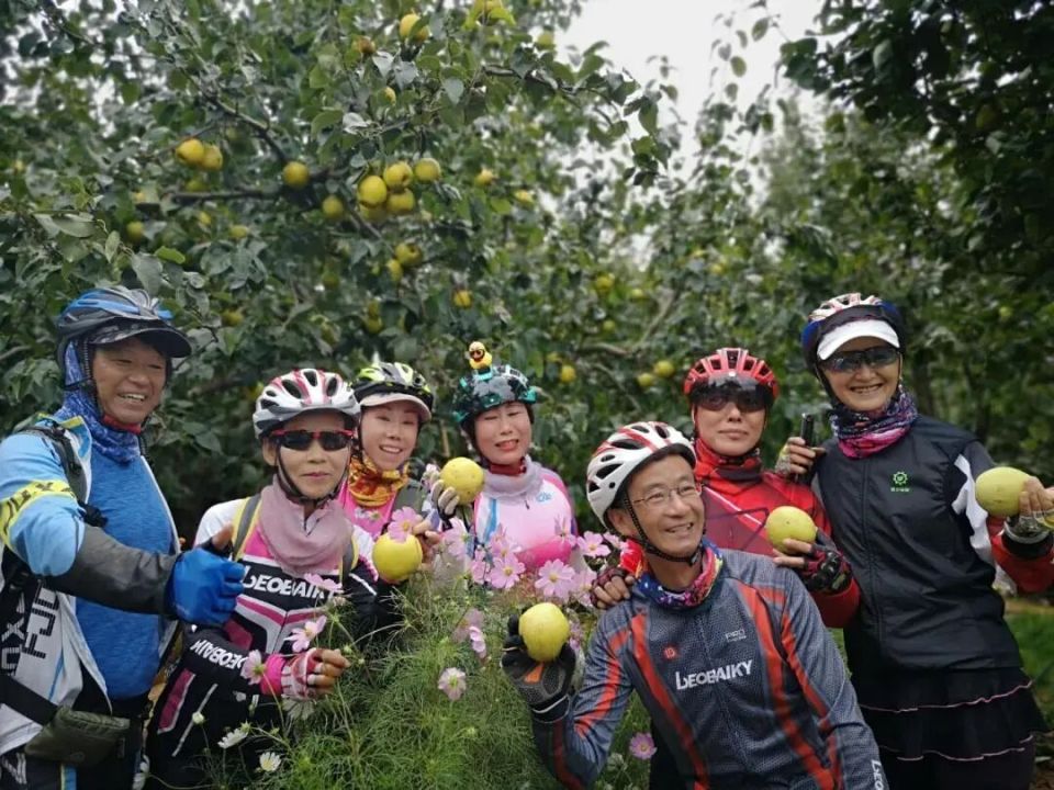 bt, img, QIR bt, img, QIR